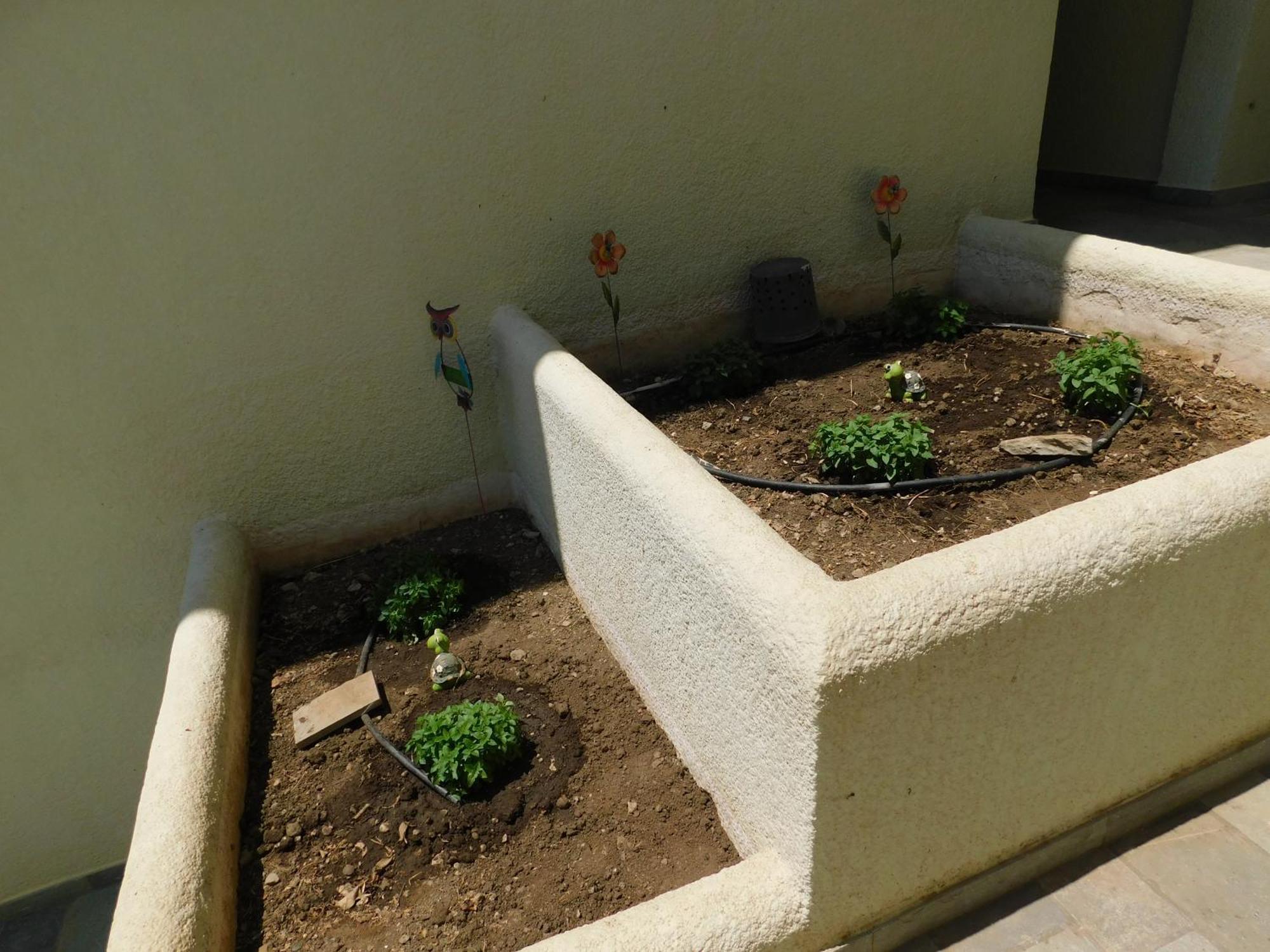 To Spiti Tis Eirinis Apartment Poros Town Exterior foto